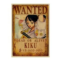 La Boutique One Piece Affiche Wanted One Piece Kikunojo