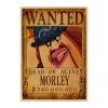 La Boutique One Piece Affiche Wanted One Piece Morley