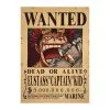 La Boutique One Piece Affiche Wanted One Piece Eustass Kid 2 1 La Boutique One Piece Affiche Wanted One Piece Eustass Kid 2 -Vêtements Soldes affiche wanted one piece eustass kid 2